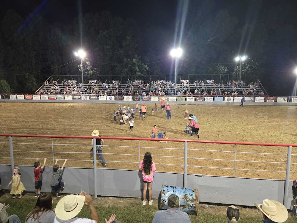 2024 Rodeo Pictures 2024 Rodeo Pictures