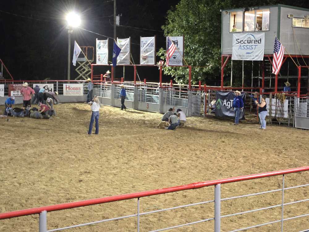 2024 Rodeo Pictures 2024 Rodeo Pictures