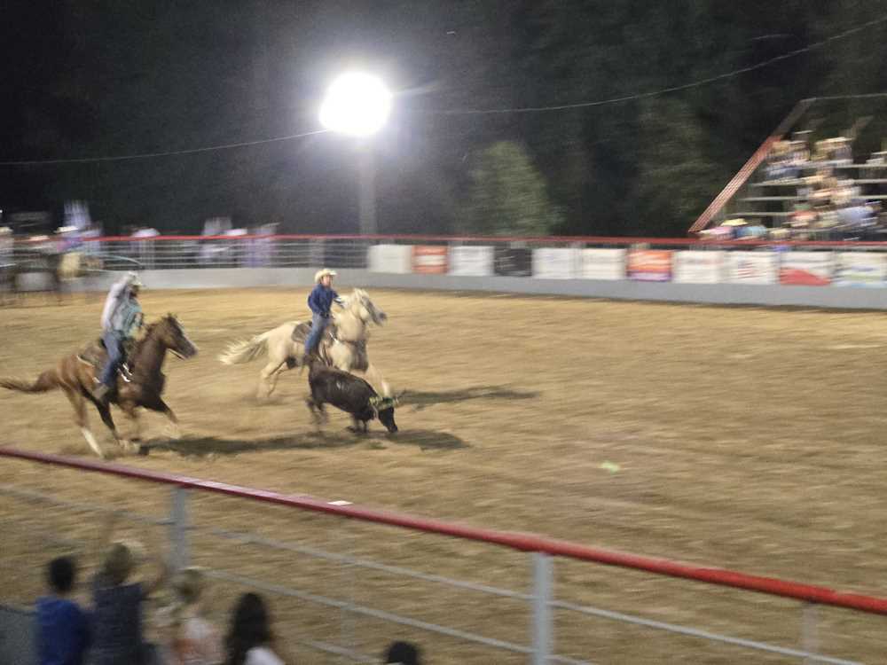 2024 Rodeo Pictures 2024 Rodeo Pictures
