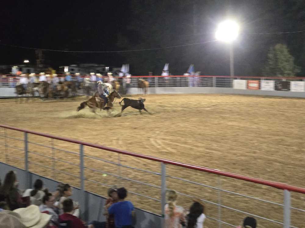 2024 Rodeo Pictures 2024 Rodeo Pictures