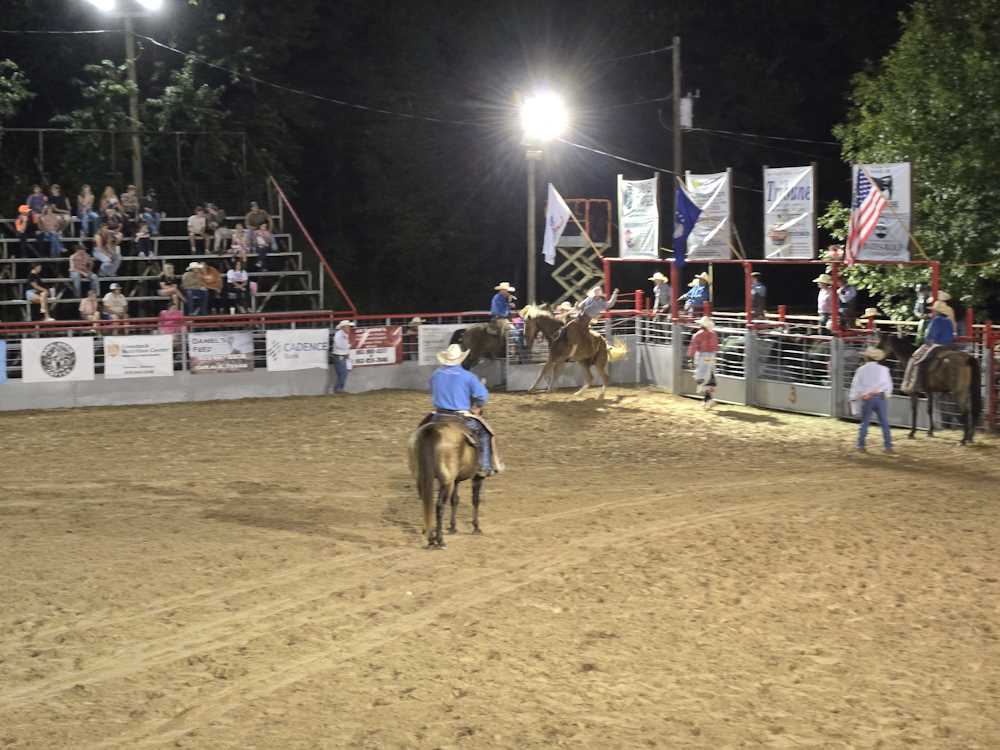 2024 Rodeo Pictures 2024 Rodeo Pictures
