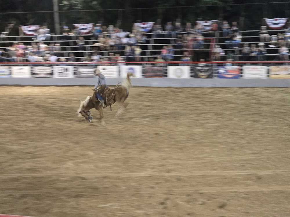 2024 Rodeo Pictures 2024 Rodeo Pictures