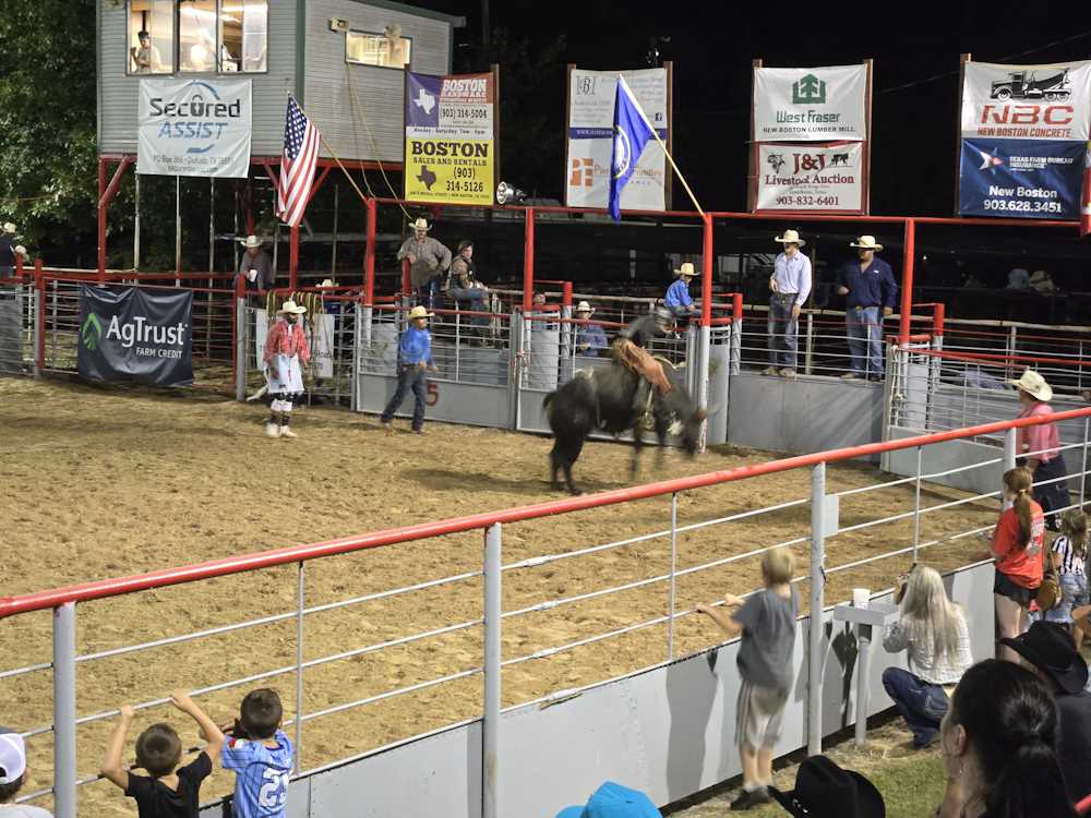 2024 Rodeo Pictures 2024 Rodeo Pictures