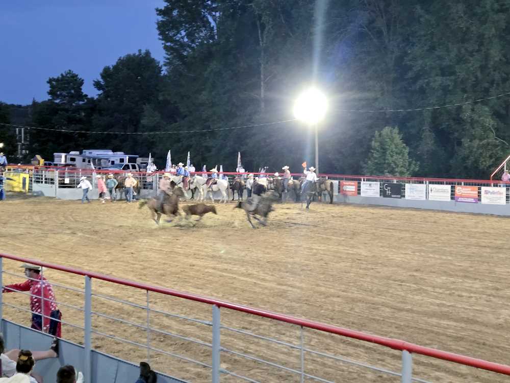 2024 Rodeo Pictures 2024 Rodeo Pictures