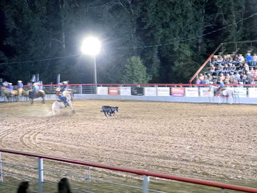 2024 Rodeo Pictures 2024 Rodeo Pictures