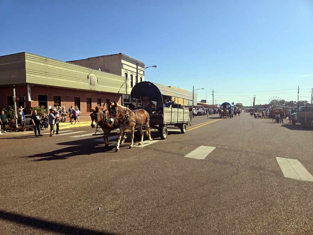 2025 Pioneer Days October Parade 2025 Pioneer Days October Parade