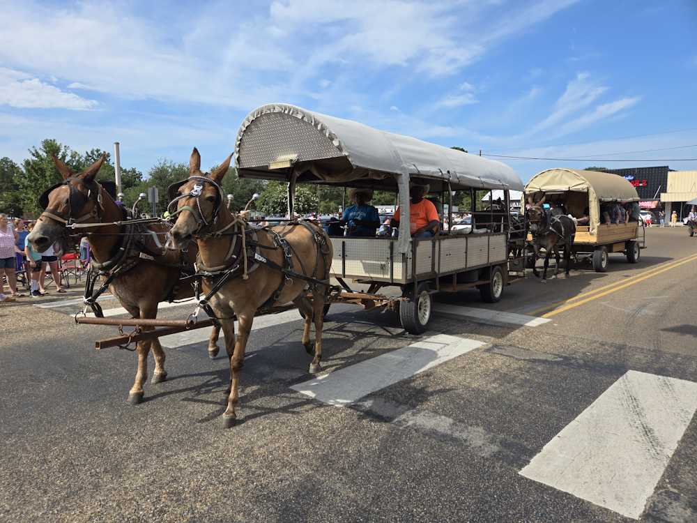 2024 Pioneer Days Parade Photo 2024 Pioneer Days Parade Photo