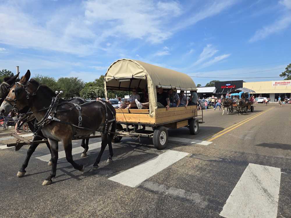 2024 Pioneer Days Parade Photo 2024 Pioneer Days Parade Photo