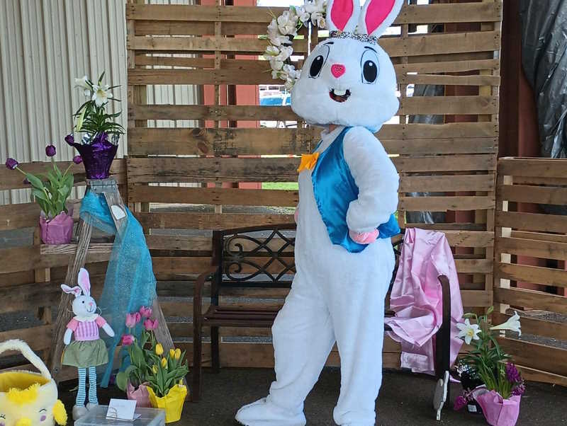 Bunny Pose Bunny Pose