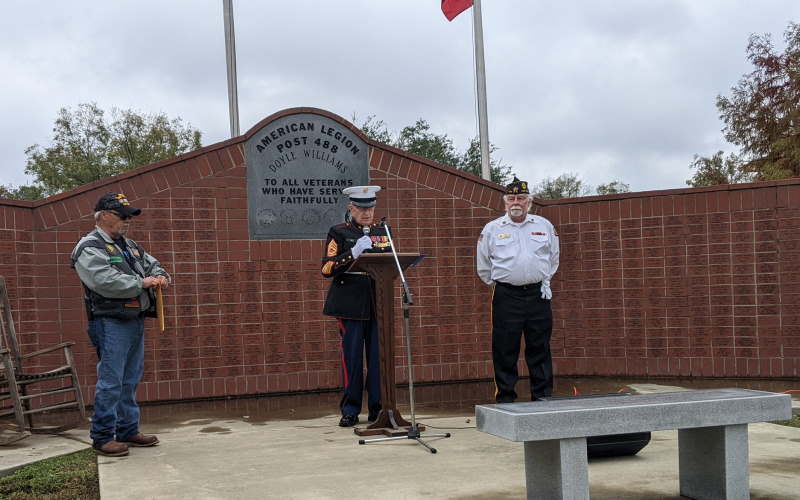 Veterans day is banks open