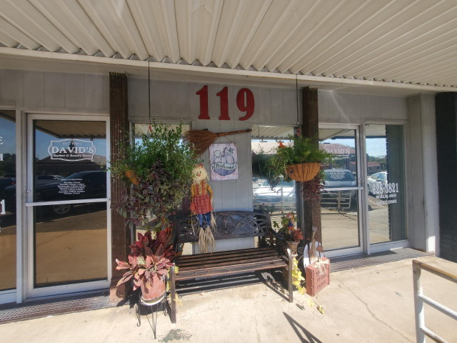 David's Hair David's Hair