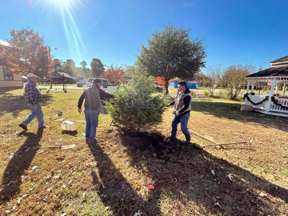 Getting our new live Christmas Tree for our downtown Christmas Lighting planted - course, arguing about if it's leaning! Getting our new live Christmas Tree for our downtown Christmas Lighting planted - course, arguing about if it's leaning!