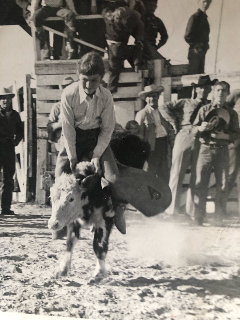 Marilyn Cox Jones Marilyn Cox Jones