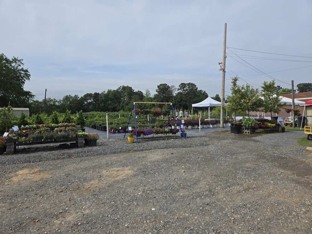 Nursery Plants and Trees and Shrubs Nursery Plants and Trees and Shrubs