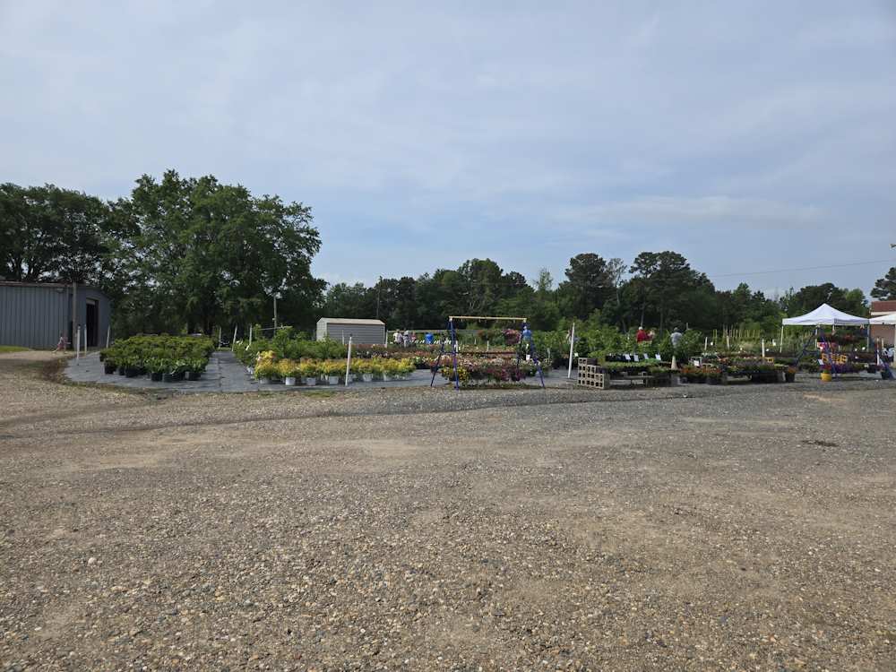 Nursery Plants and Trees and Shrubs Nursery Plants and Trees and Shrubs