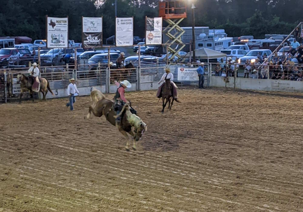 Bronc Riding Bronc Riding