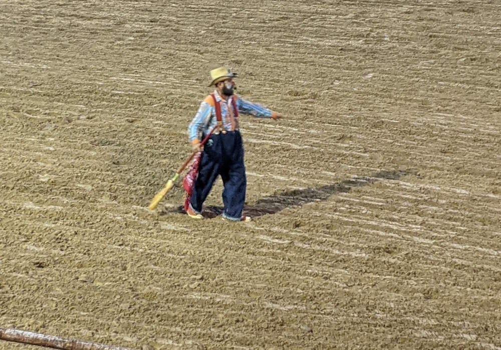 Gotta Have a Rodeo Clown Gotta Have a Rodeo Clown