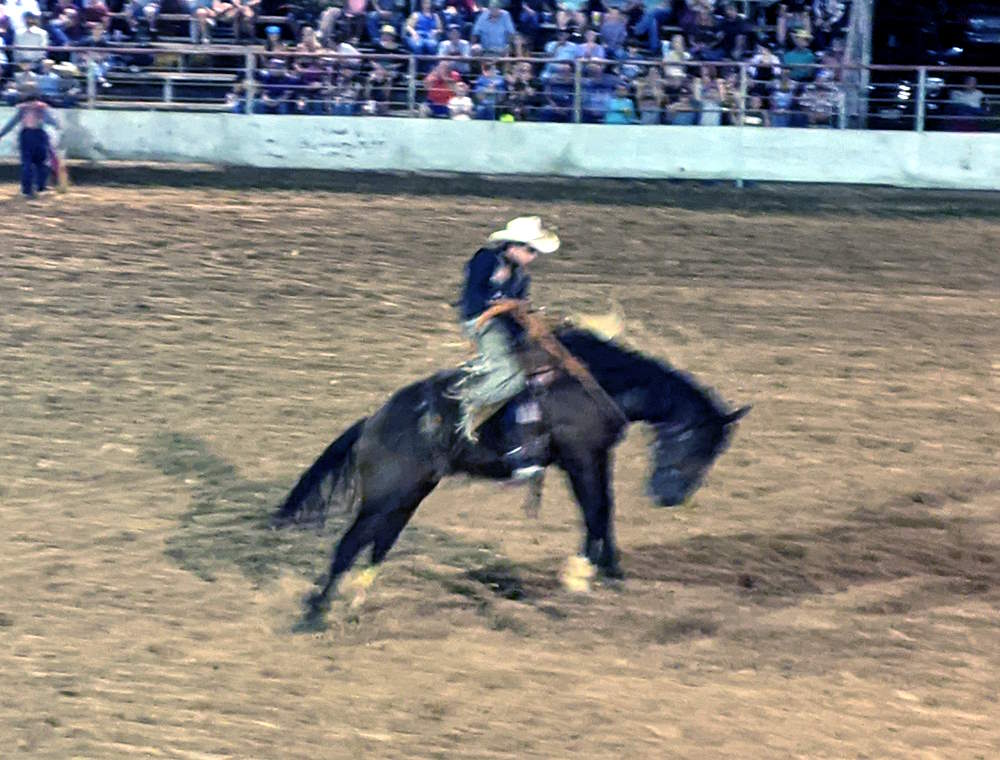Bronc Riding Bronc Riding